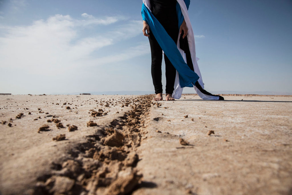 Dear Neighbors With the Trump/Pence Sign