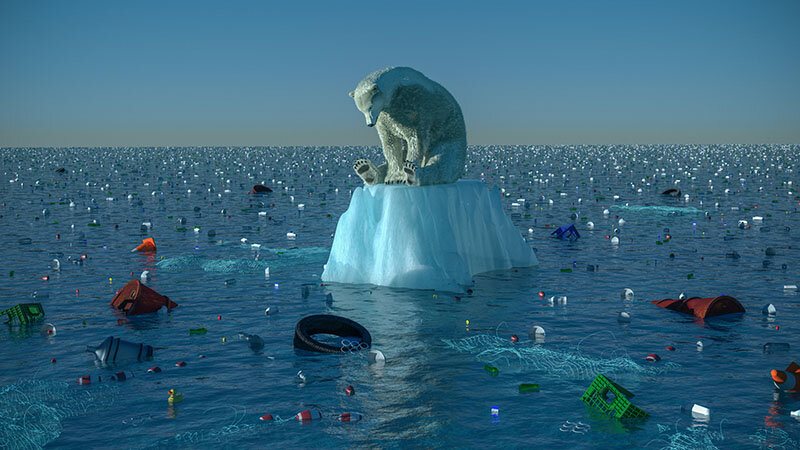 Solastalgia: Sadness Upon the Assault of Our Natural World