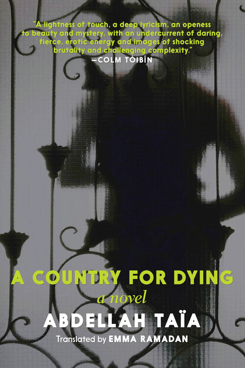 Abdellah Taïa's   A Country For Dying  .