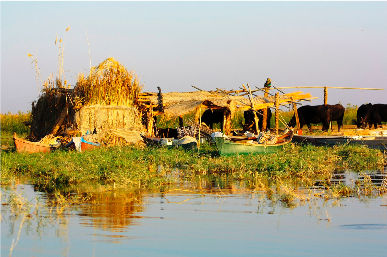 A view of Hor al-Habayesh in Dhi Qar Governorate, southern Iraq (photo courtesy Khalid Suleiman).