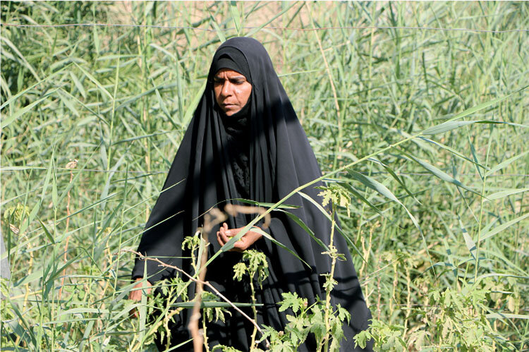 A woman farming the field in southern Iraq (photo courtesy Khalid Suleiman).