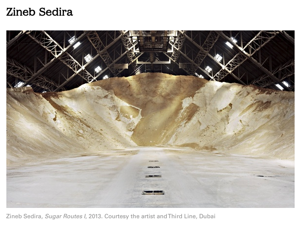 sugar routes zineb sedira world picks.png
