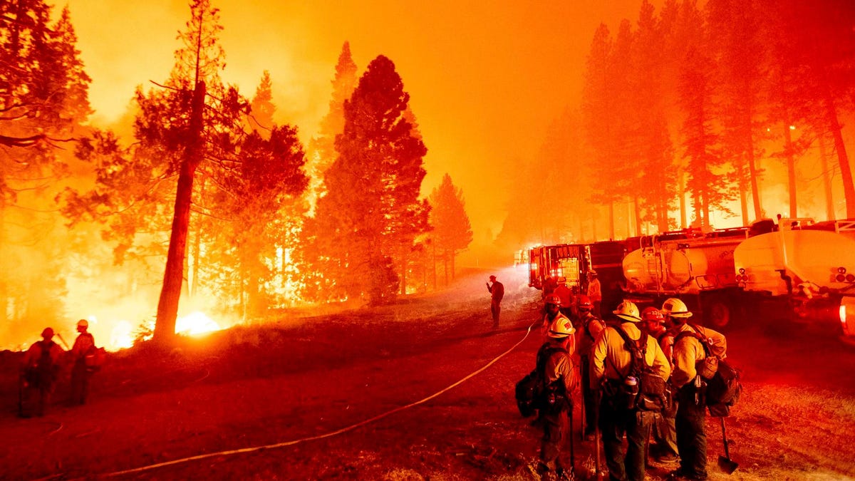 Reconsidering Thoreau in a Burning World