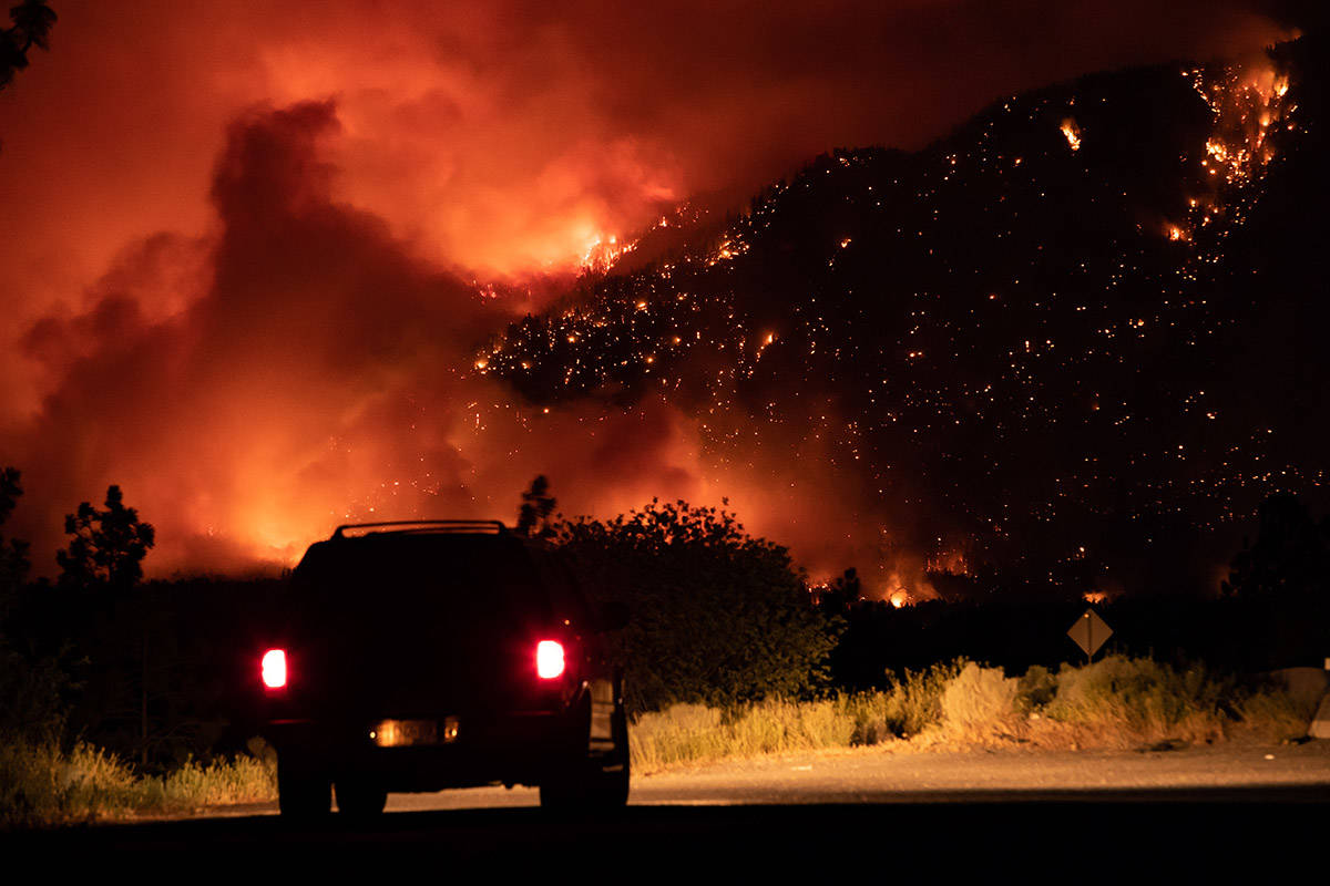 Burning Forests, Burning Nations