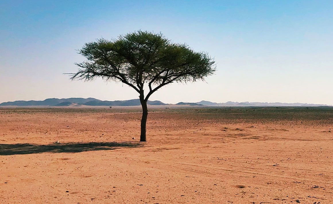 Poet Faiz Ahmed Faiz’s “Dasht-e-Tanhai”—A Desert Soundscape