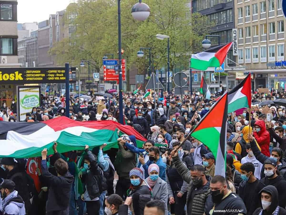 Unapologetic Palestinians, Reactionary Germans