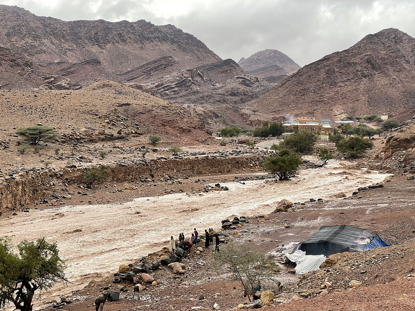 Sudden Journeys: Deluge at Wadi Feynan