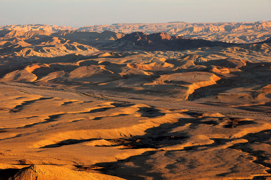Alien Entities in the Desert
