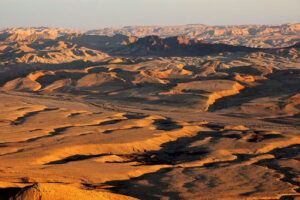 Alien Entities in the Desert