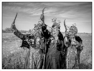 From the City to the Desert—Tahmineh Monzavi