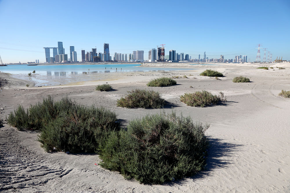 Abu Dhabi skyline seen from Saadiyat island Abu Dhabi photo Typhoonski