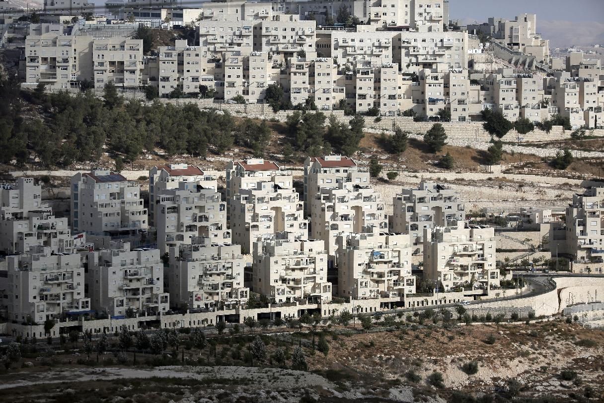 A Day in the Life of Abed Salama: A Palestine Story