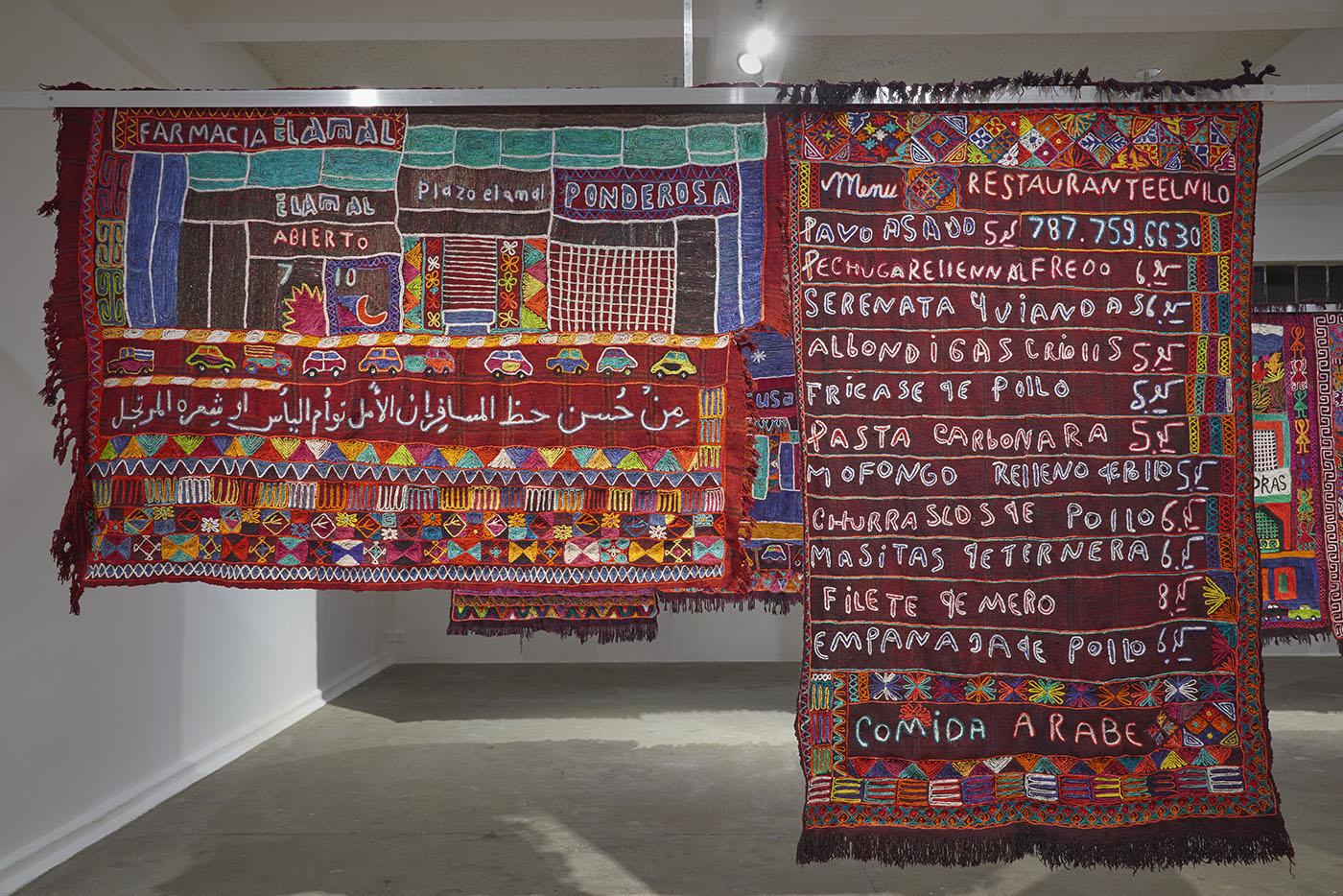 Colors of the Diaspora: Alia Farid