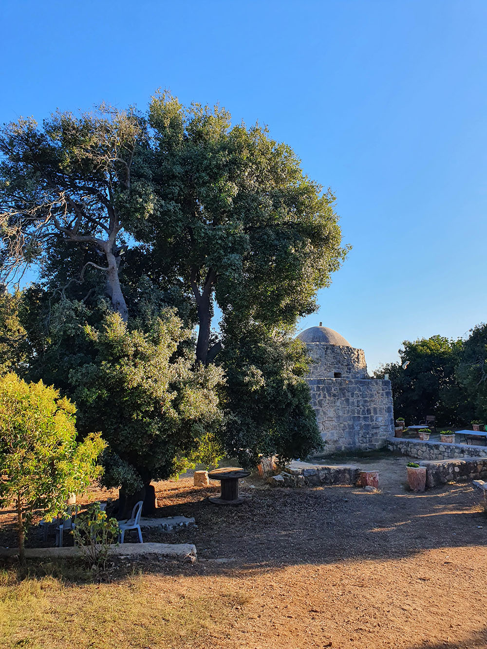 The maqam of al-Qatrawani and its sacred tree, Atara.