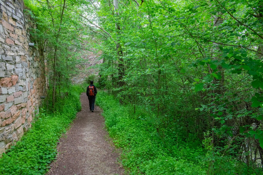 The Art of Letting Go: On the Path to Willful Abandonment