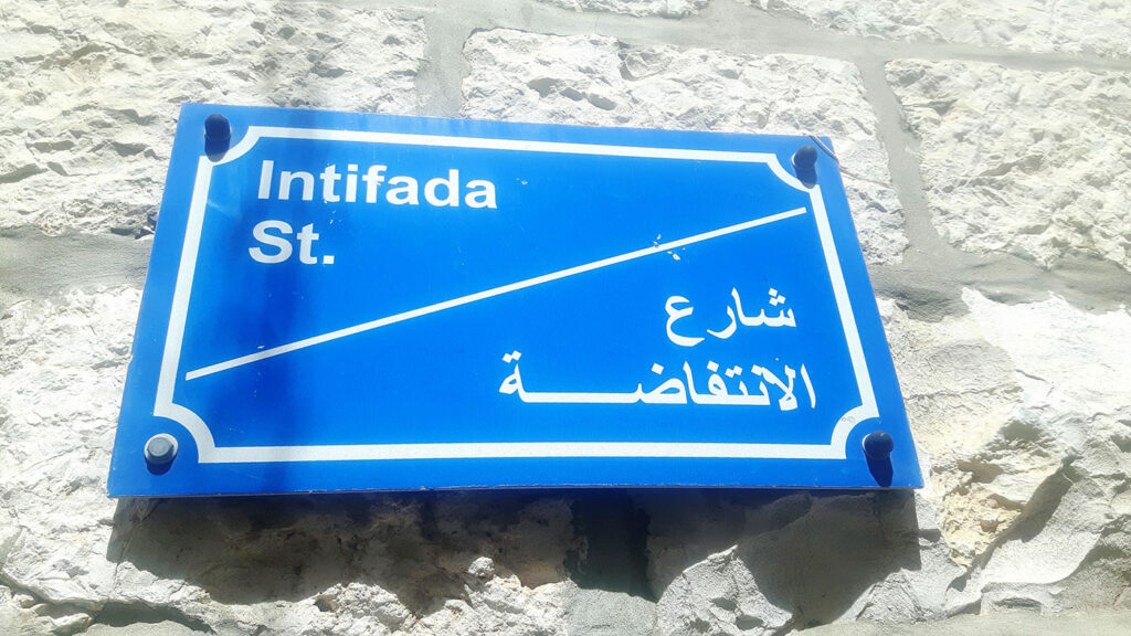 <em>My Brother, My Land: A Story from Palestine</em>