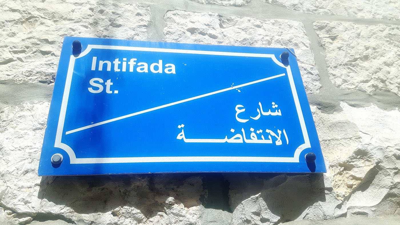 <em>My Brother, My Land: A Story from Palestine</em>