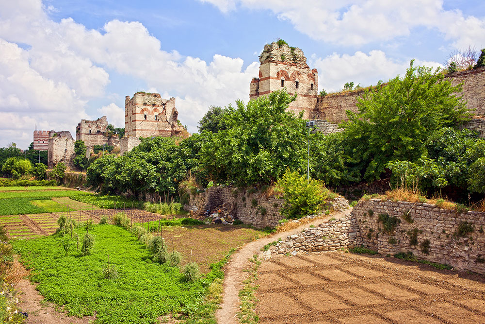 City walls built by Byzantine Emperor Theodosius II and vegetable gardens on what once was the moat in Istanbul (photo Artur Bogacki).