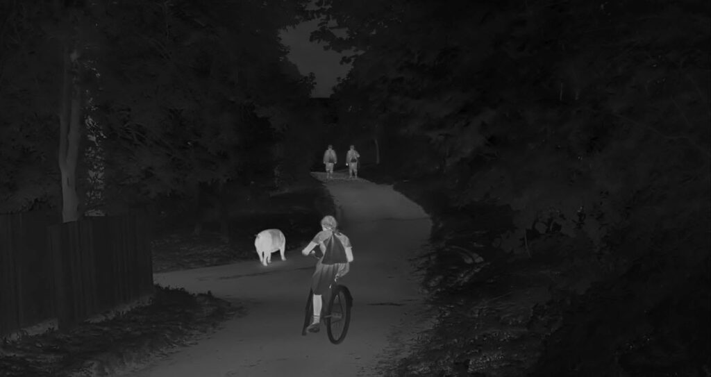 Depictions of Genocide: The Un-Imaginable Visibility of Extermination