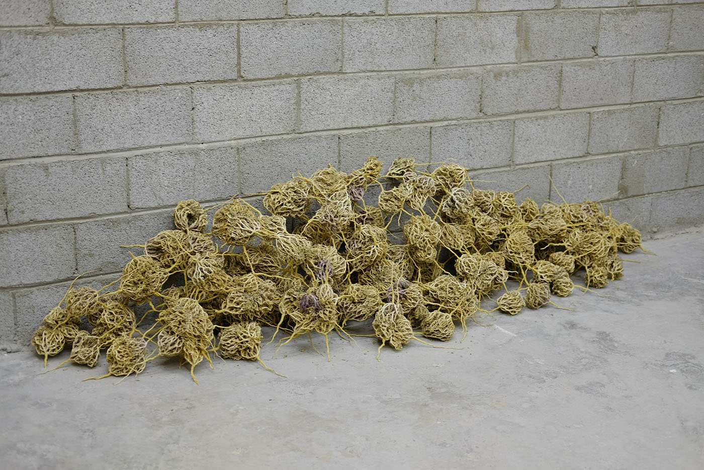 ممكن نتواصل مع حضرتك؟