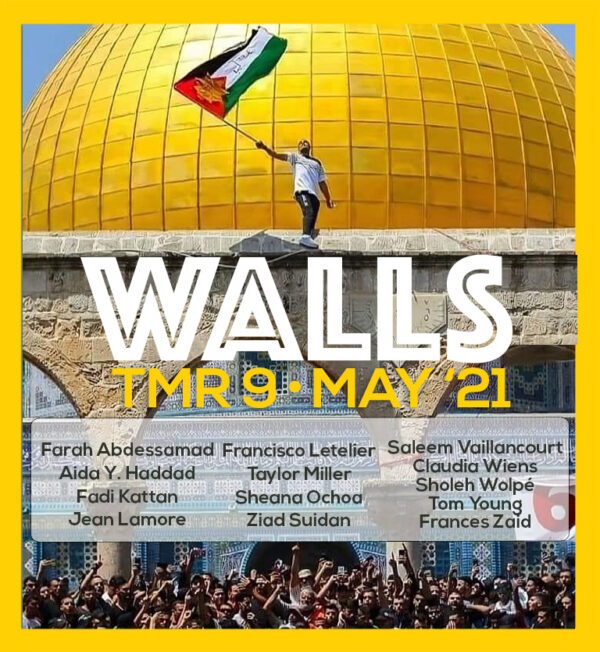 TMR Issue Nº 9 • WALLS
