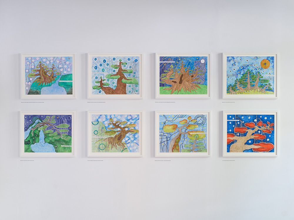 Xaytun Ennasr, “Revolution is a forest that the colonist can’t burn,” installation view at The Mosaic Rooms, 2023 (photo Andy Stagg).