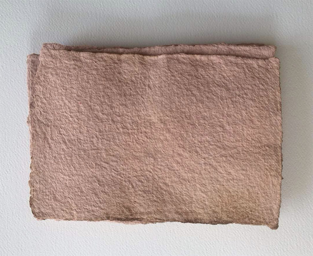 Tarlan Lotfizadeh, “# f2c2d1,” 2018. Handmade paper, using a slaughterhouse catalog and artist's blood. 20x30x5 cm.