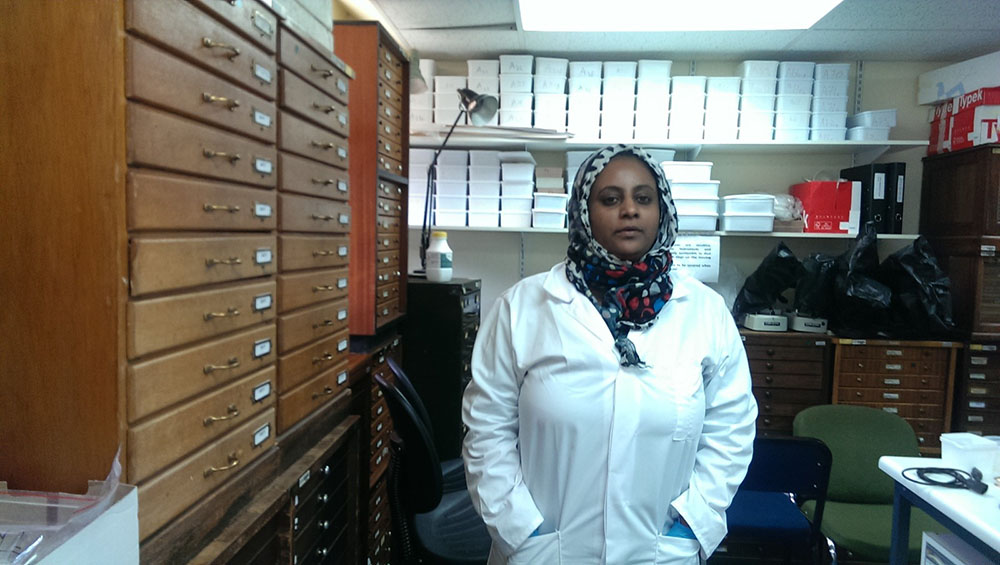 Dr. Sara Saeed (courtesy Ati Metwaly).