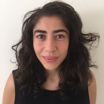 Mariam Elnozahy