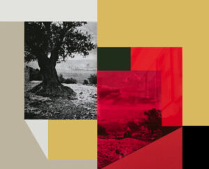“Eleazar”—a short story by Karim Kattan