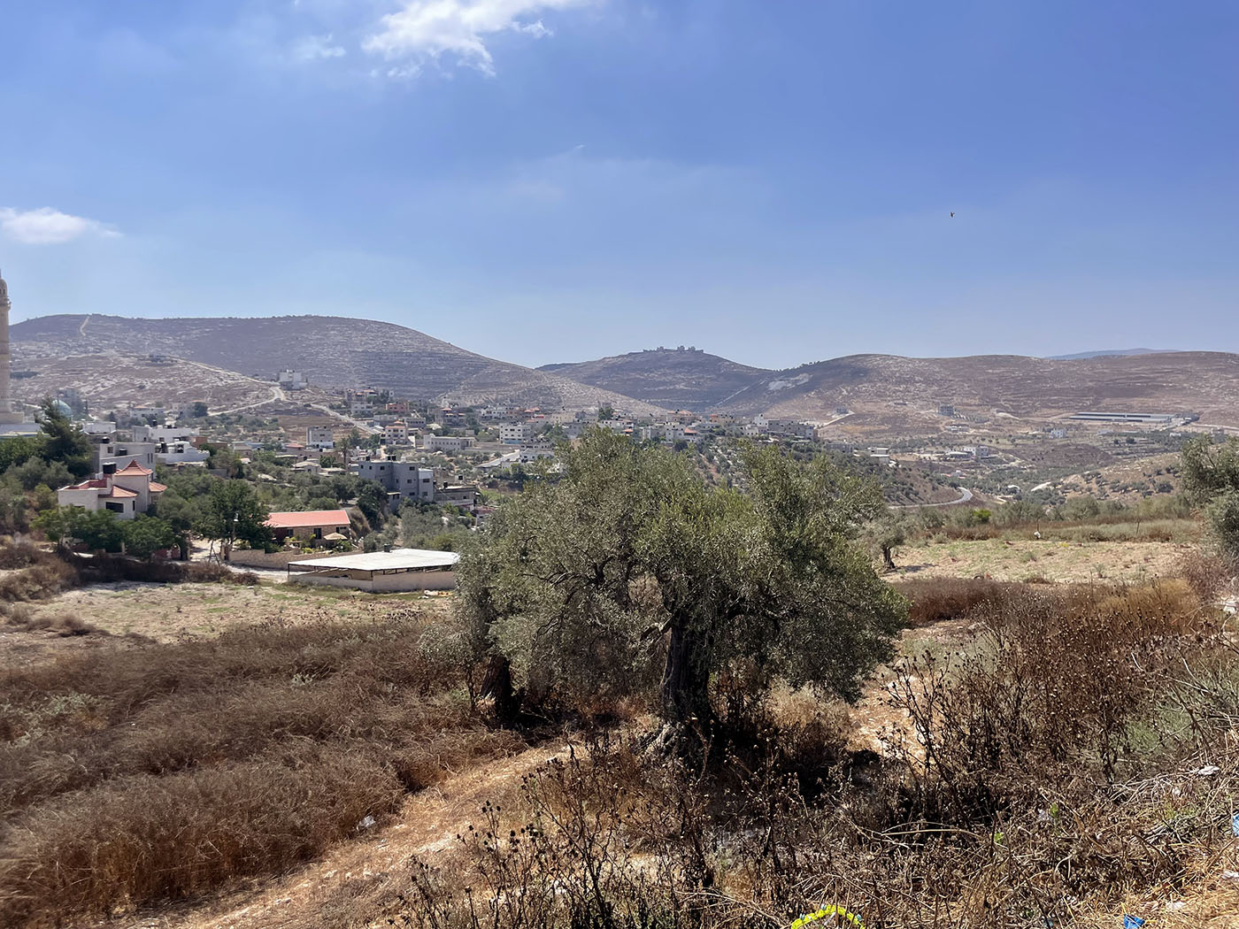 North Palestine in the region of Arraba