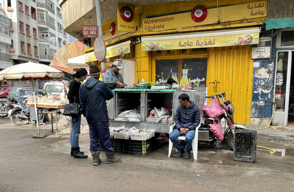 Sudden Journeys: Morocco Encore