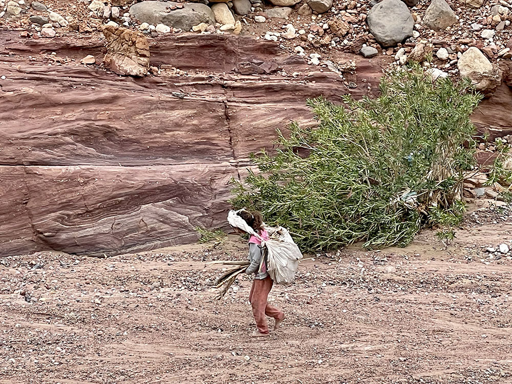 A little girl carries kindling home.