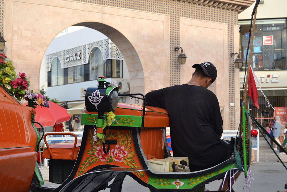 2. A coachman sitting on his carriage near the entrance of Nabeul’s medina.