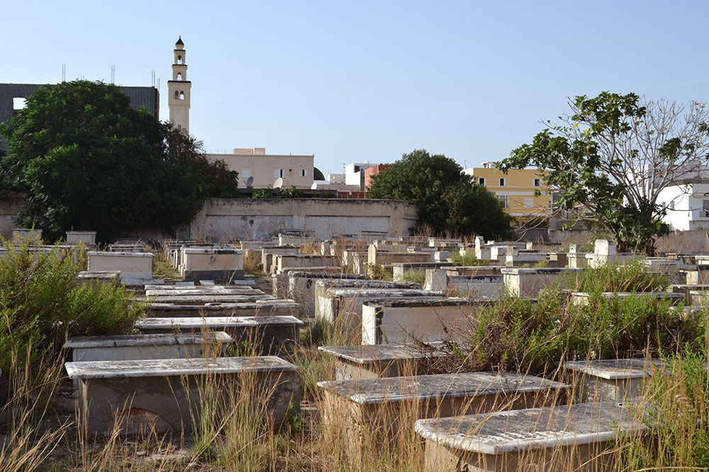 4. The Jewish cemetery in Nabeul, with overgrown weeds growing in between tombs. 
