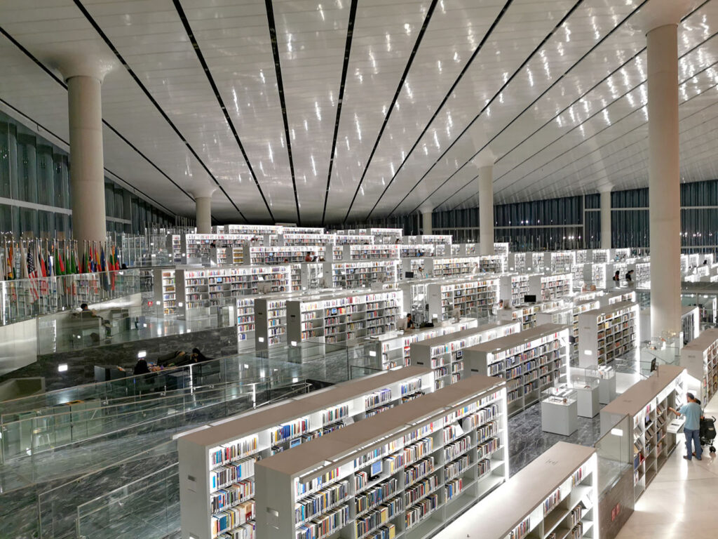 Did You Say Doha? (Books to Get You Started On Qatar)