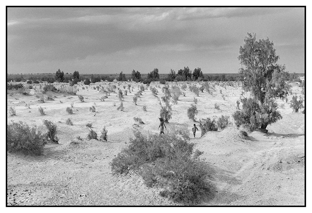 The desertification of Lake Hamoun’s once traditional wetlands. Tahmineh Monzavi