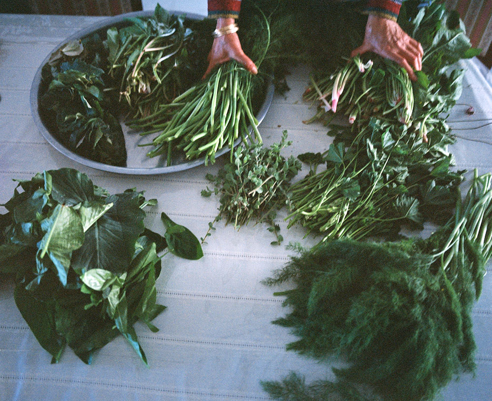3 My mother, Aziza, sorting her foraged goods" of illegal herbs. Courtesy of Jumana Manna