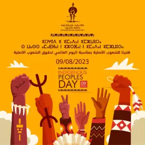 Translation and Indigeneity—Amazigh Culture from Treason to Revitalization