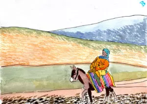 Donkeys and Mules—Motors of the High Atlas Mountains