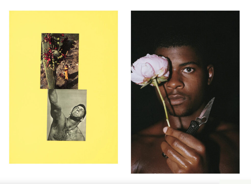 Images from Love Songs curated by Sara Raza (courtesy icp.org