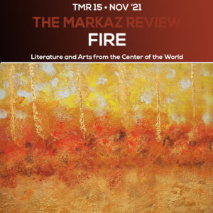 TMR 15 FIRE cover