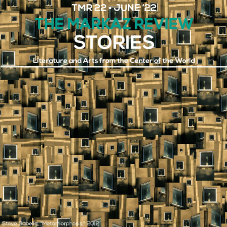 TMR 22 STORIES cover