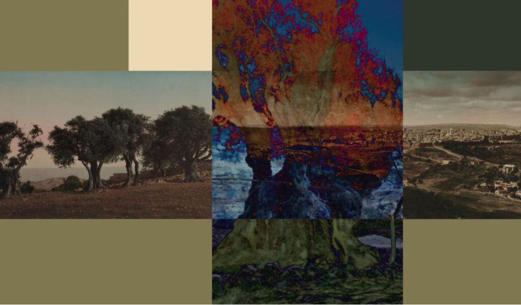 Hazem Harb, "Paradise Lost," archival photograph, collage, pigmented plexiglass, 170x100cm, 2021 (courtesy Tabari Artspace).