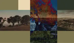 Memory Archive: Between Remembering and Forgetting