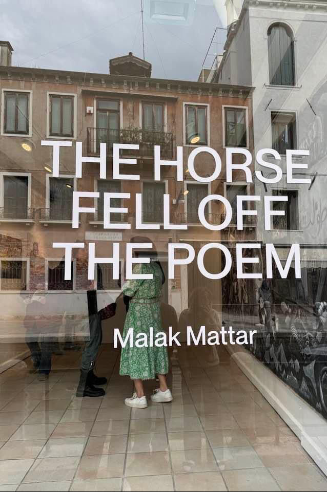 Malak Mattar's Venice exhibition.