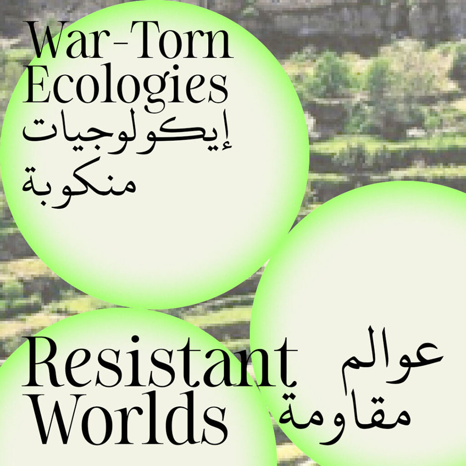 War Torn Ecologies Mosaic Rooms