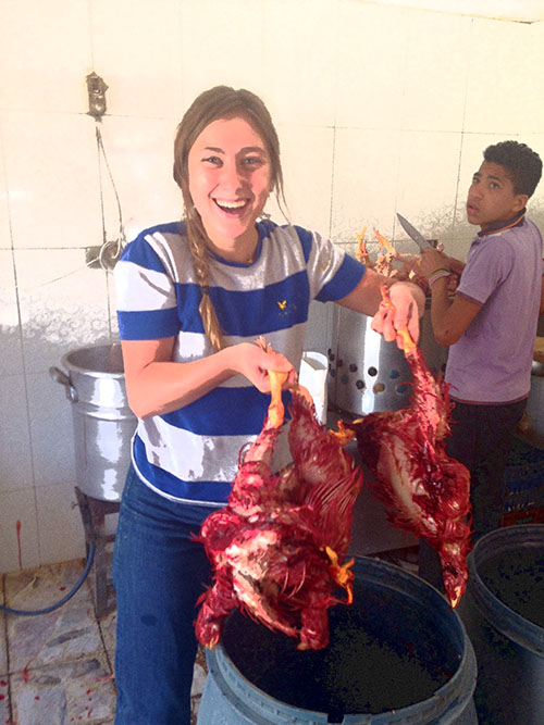 Bel Parker removes two chickens out of the big black bucket (courtesy Bel Parker).