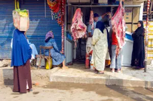 The Butcher’s Assistant—a true story set in Alexandria