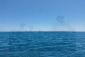 “Firefly”—a short story by Alireza Iranmehr